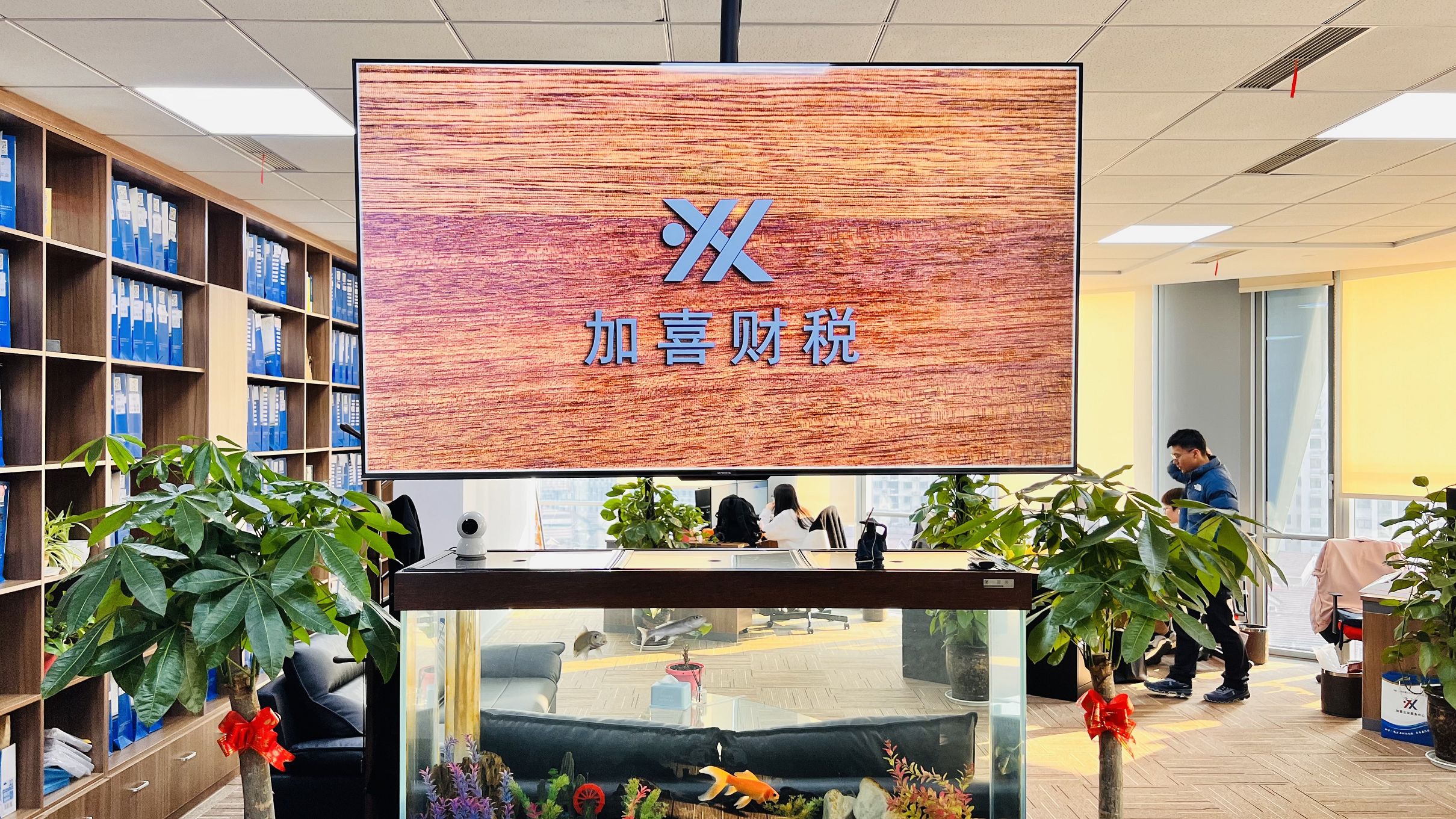 持股平台搭建服务(持股平台搭建服务方案)莆田市